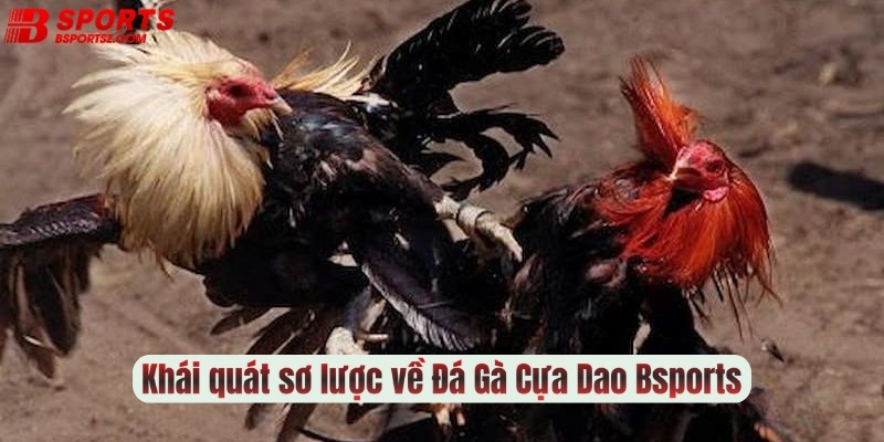 Khái quát sơ lược về Đá Gà Cựa Dao tại Bsports